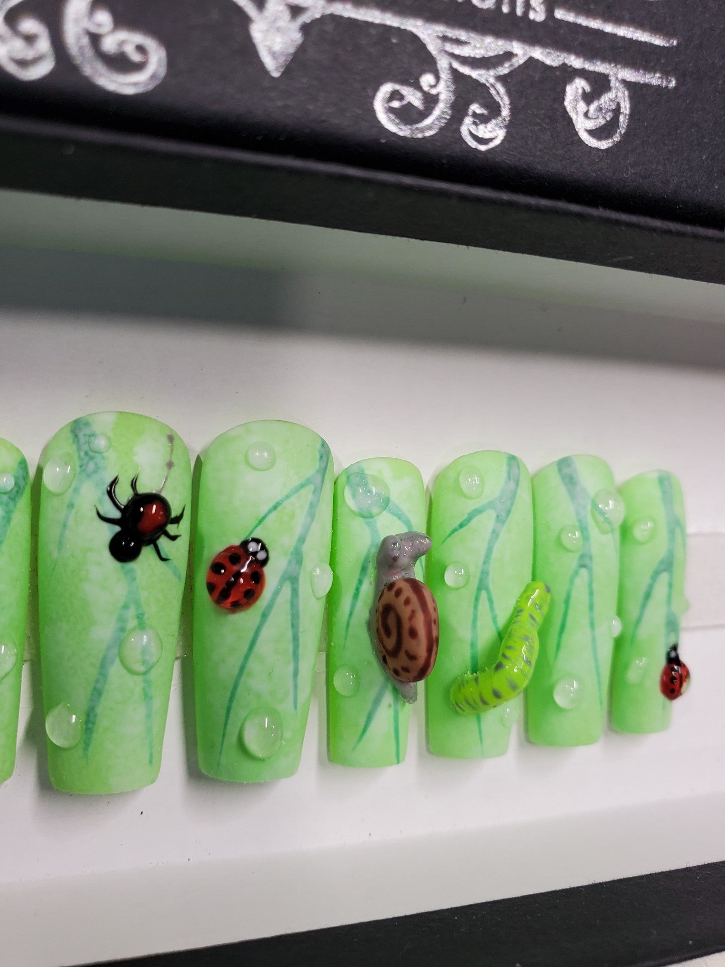 Bugs and Slugs