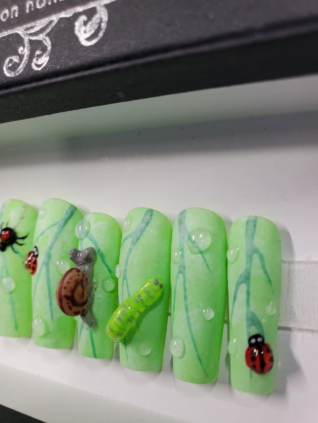 Bugs and Slugs