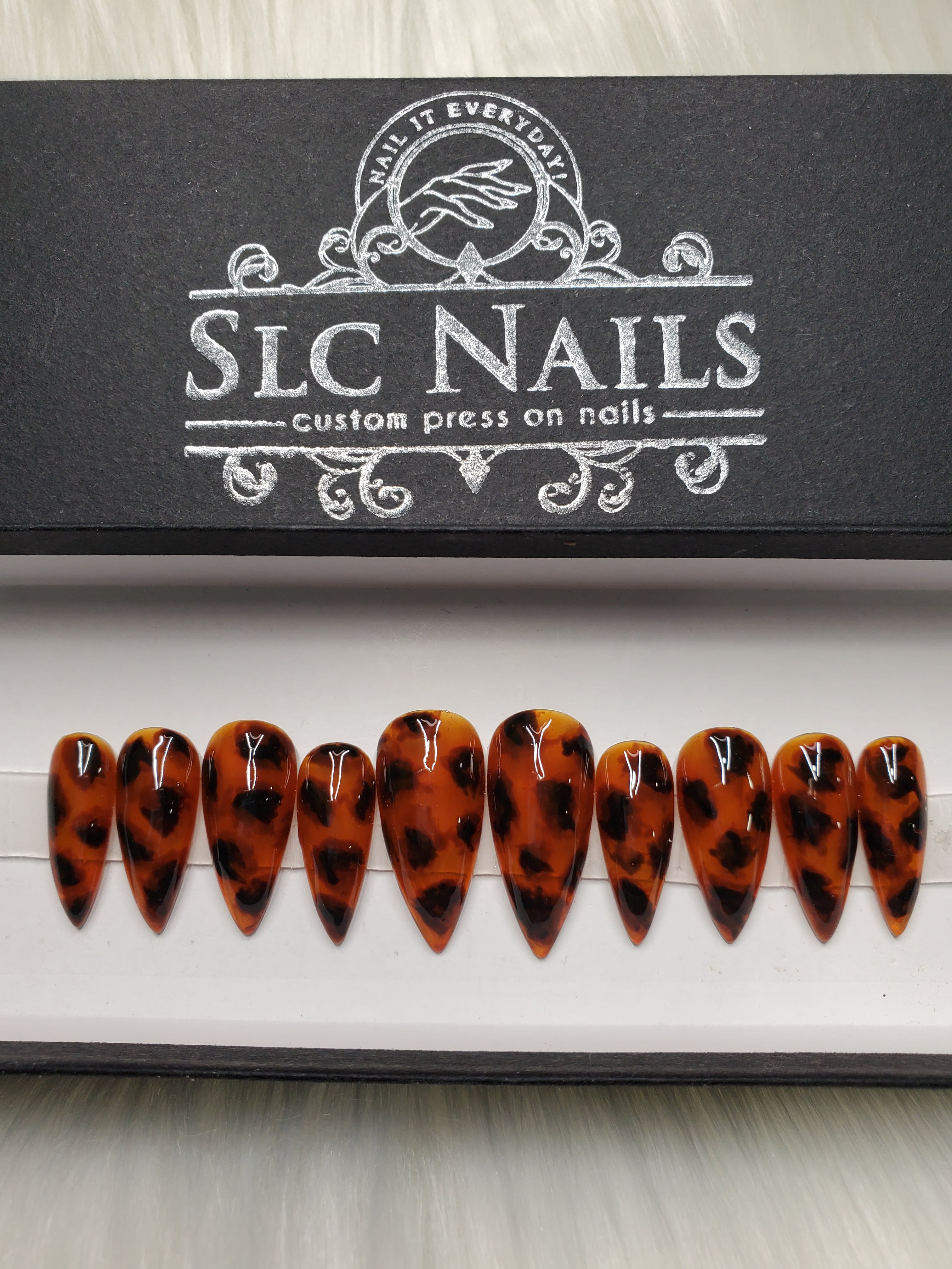 Tortoise Shell