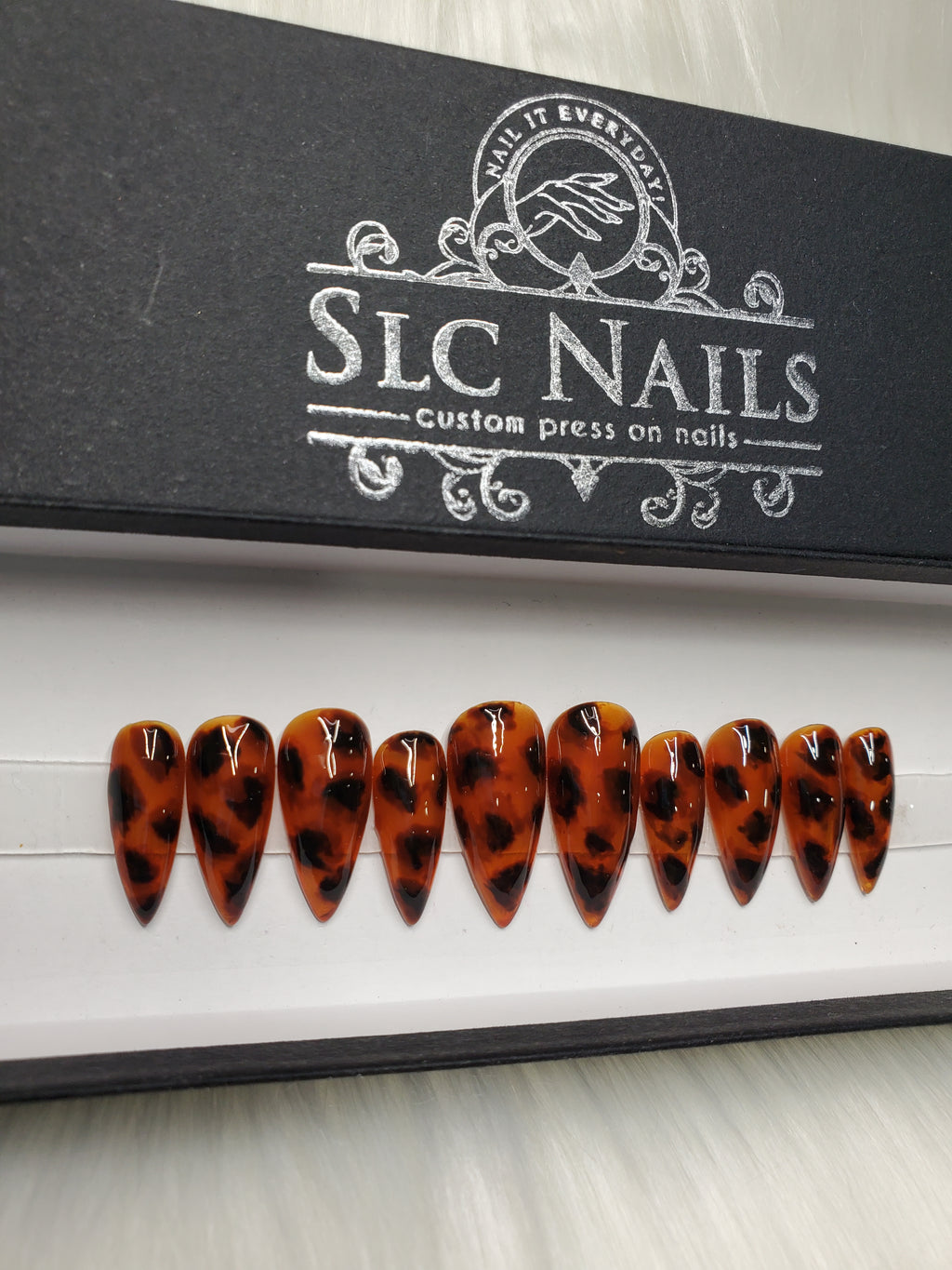 Tortoise Shell