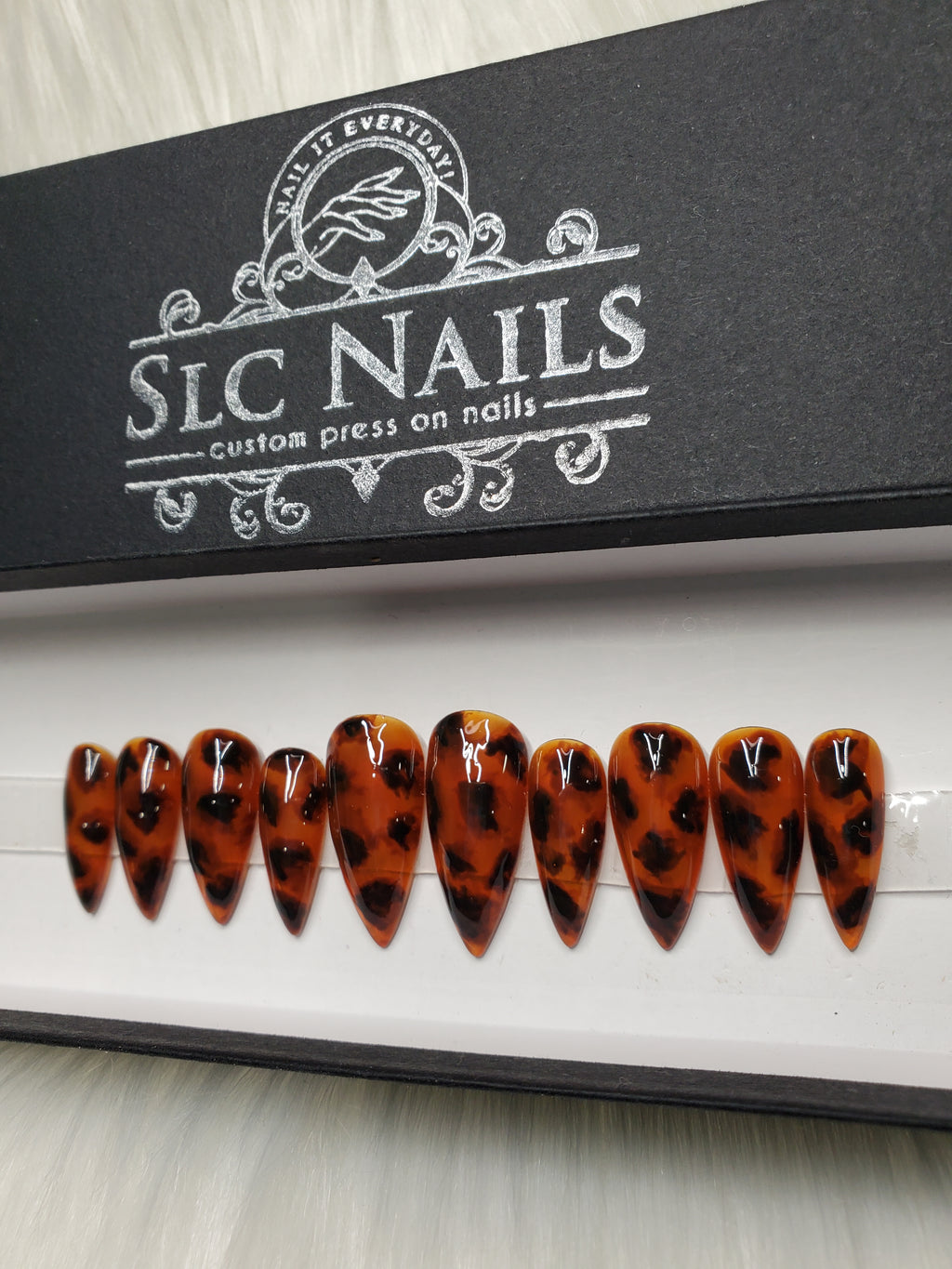Tortoise Shell