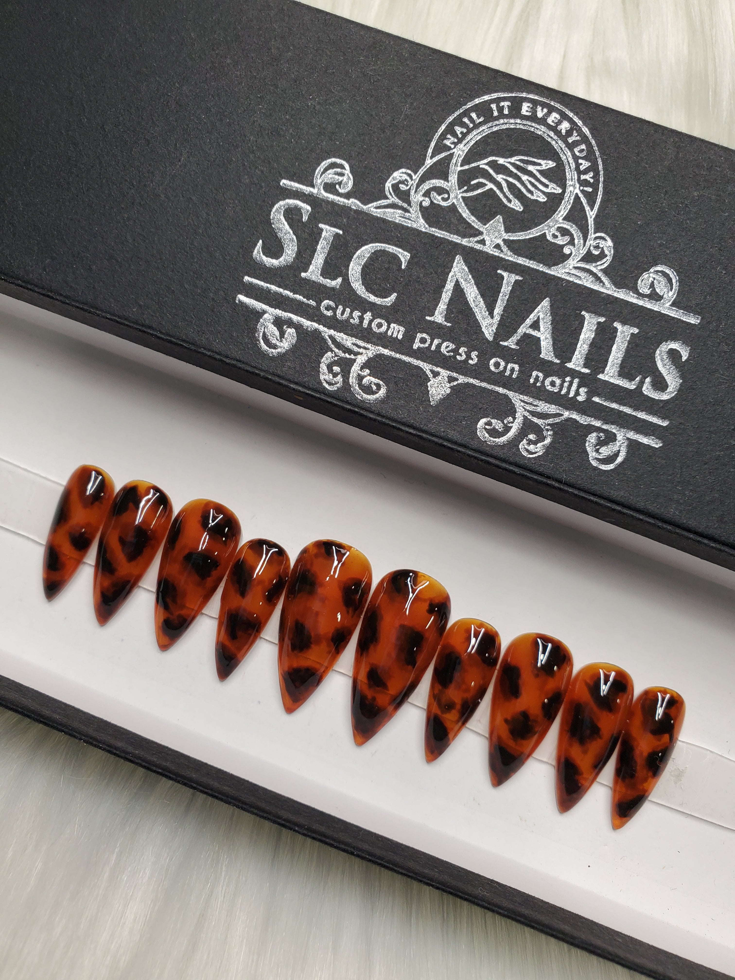Tortoise Shell